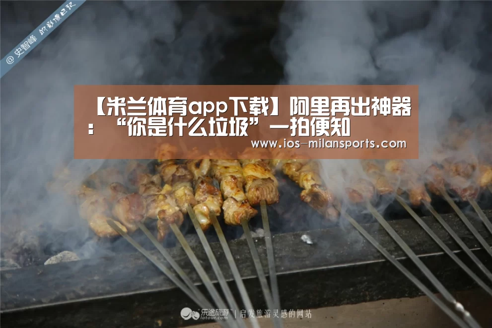 【米兰体育app下载】阿里再出神器:“你是什么垃圾”一拍便知(图1) 米兰体育app官网