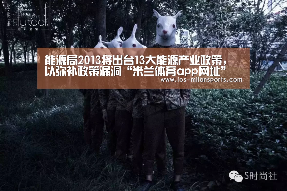 能源局2013将出台13大能源产业政策,以弥补政策漏洞“米兰体育app网址”(图1) 米兰体育app网址