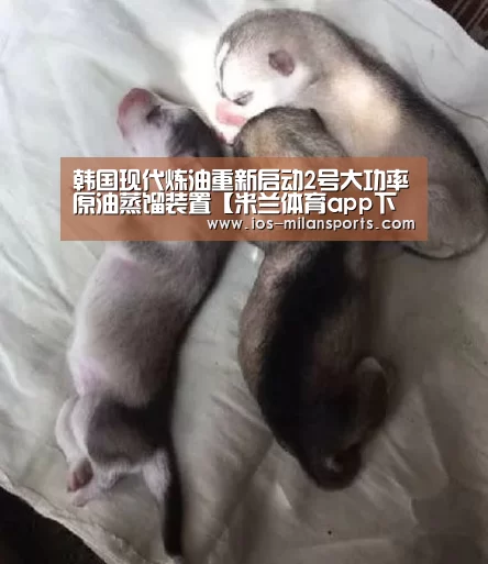韩国现代炼油重新启动2号大功率原油蒸馏装置【米兰体育app下载】(图3) 米兰体育app下载安装
