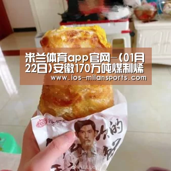 米兰体育app官网-(01月22日)安徽170万吨煤制烯烃项目建设最新进展(图1) 米兰体育app网址