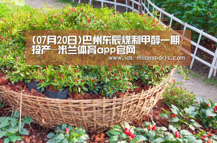 米兰体育app官网